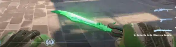 Gamma Doppler Butterfly Knife in CS2